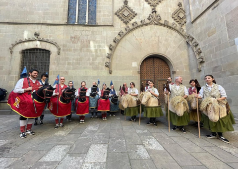 Els Cavallets de Sabadell al Seguici de Santa Eulàlia 2023