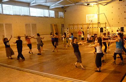 Programa d’impuls de les danses populars vives a l’ensenyament primari